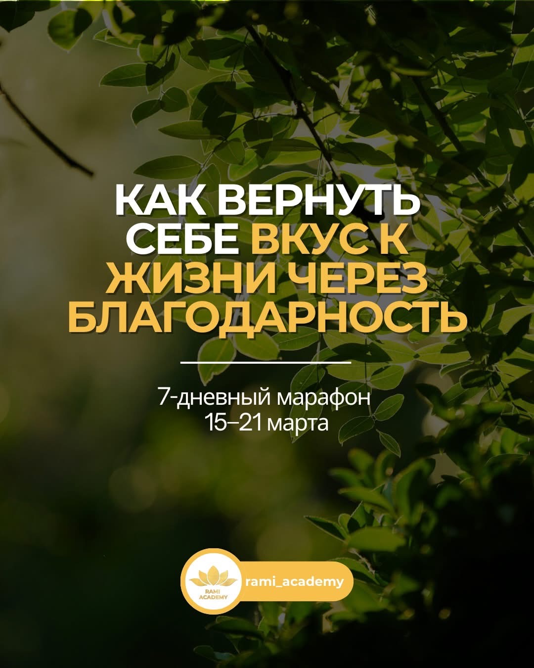 Марафон Благодарности 🙏